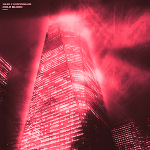 东京热视频在线观看
