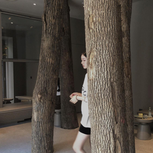 东京热视频在线观看
